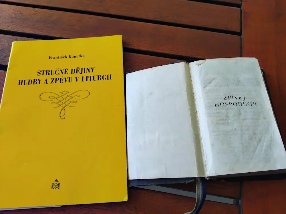 Stručné dějiny hudby a zpěvu v liturgii