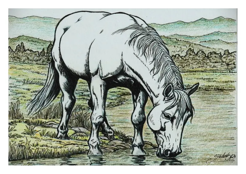 Ilustrace bílé kobylky pijící vodu u říčního břehu v krajině z povídky Miroslava Šestáka " Rokůsek a vodník"