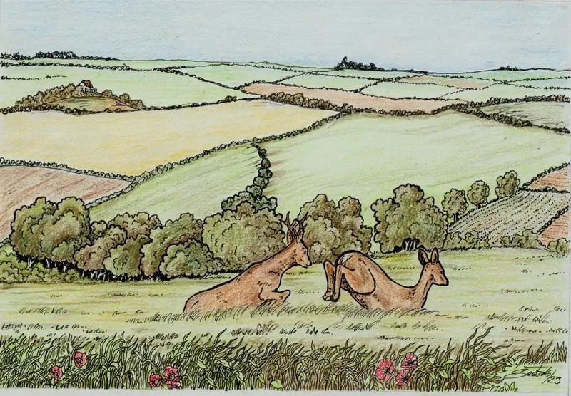 Ilustrace Miroslava Šestáka k příběhu Dávné proroctví: srnky v krajině polí a luk.